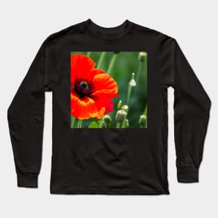 Close Up in a Field of Red Poppies (MD23Mrl008) Long Sleeve T-Shirt